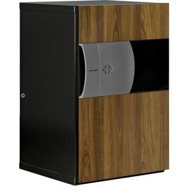 Сейф Kaso E2 320 Дуб, фото 