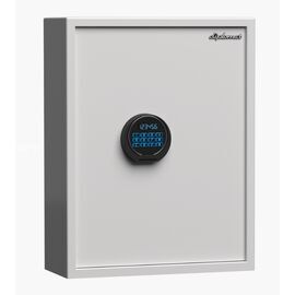Diplomat KC100N, фото 
