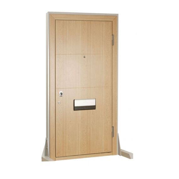 Guard Basic door, фото 